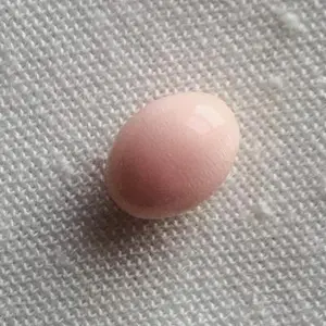 4.8 ct conch pearl