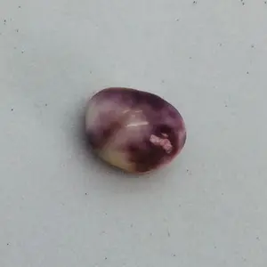 Mottled Purple Quahog Pearl for Sale