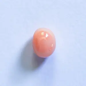 Oval Light Pink Conch Pearl 5mm Perfect
