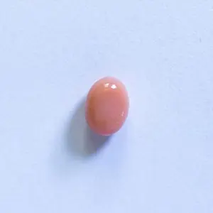 Pink Conch Pearl Oval 6mm 
