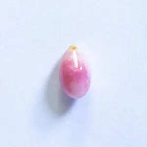 Pink & White Conch Pearl 1+ carat 8mm