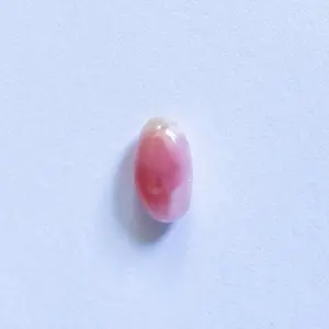 Pink & White Conch Pearl 7mm Oblong