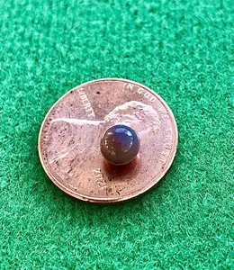 Quonochontaug Quahog Pearl