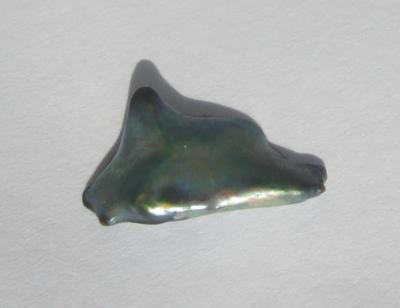 1.25 carat Abalone Pearl for Sale