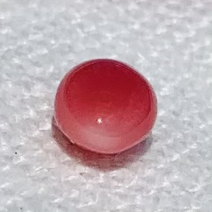 1.00 carat conch pearl