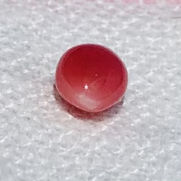 1.00 carat conch pearl