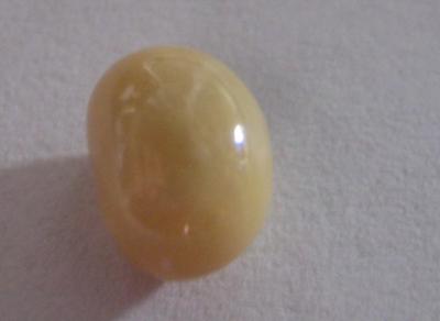 1.8 carat Cream Colored Conch Pearl