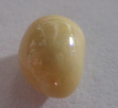 1.8 carat Cream Colored Conch Pearl