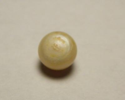 1.5 carat Freshwater USA Pearl  Gem Button Shape