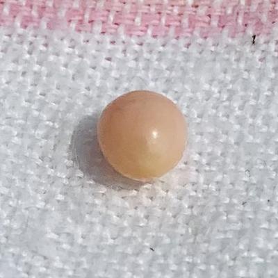 1 carat Oval Conch Pearl