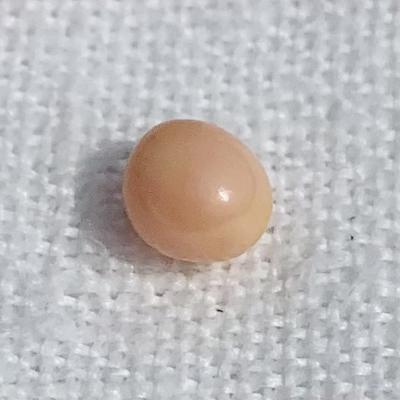 1 carat Oval Conch Pearl