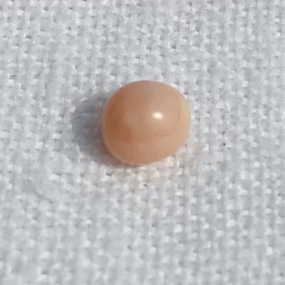 1 carat Oval Conch Pearl