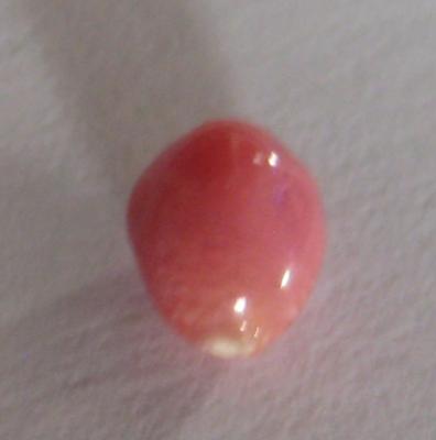 1.2 carat Pink Conch Pearl with Flame