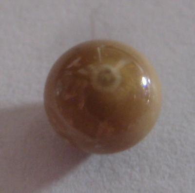 1.6 carats Brown Oval Conch Pearl