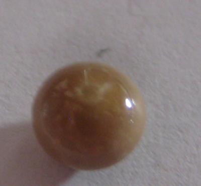 1.6 carats Brown Oval Conch Pearl