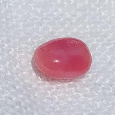 1.27 Conch Pearl Bright Pink Oval 7mm for Sale