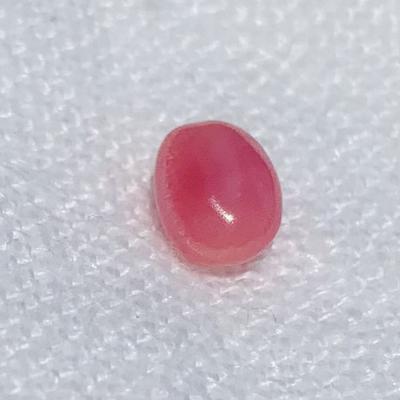 1.27 Conch Pearl Bright Pink Oval 7mm for Sale