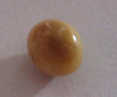 1.6 ct  Brown Conch Pearl