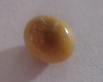 1.6 ct  Brown Conch Pearl