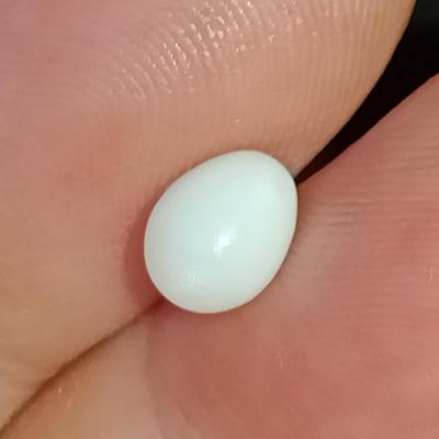  Pearl