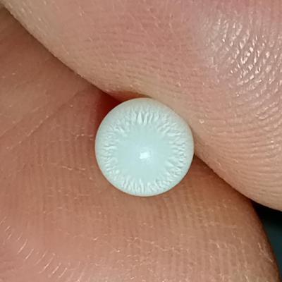 1 ct Clam Pearl for Sale