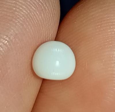 1+ ct Full Flame Clam Pearl for Sale