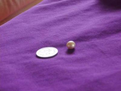 Round Black Lipped Abalone Pearl