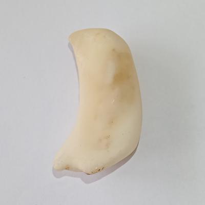 102 Carat Baroque Clam Pearl