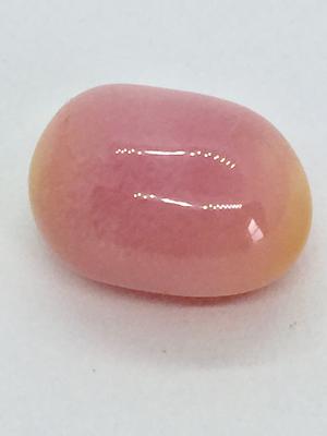 conch pearl