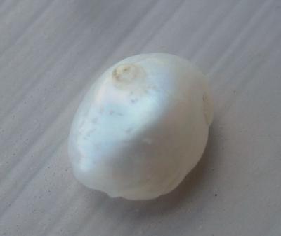 10mm Baroque Natural USA Freshwater Pearl