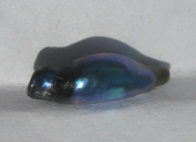 10mm Iridescent Bluish Abalone Pearl for Sale