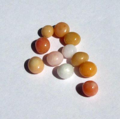 11 Conch Pearls 9 carats - Total Various Colors