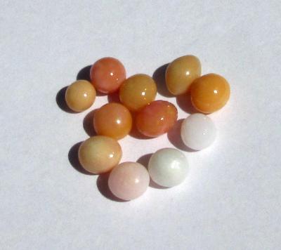11 Conch Pearls 9 carats - Total Various Colors