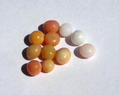 11 Conch Pearls 9 carats - Total Various Colors