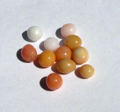 11 Conch Pearls 9 carats - Total Various Colors
