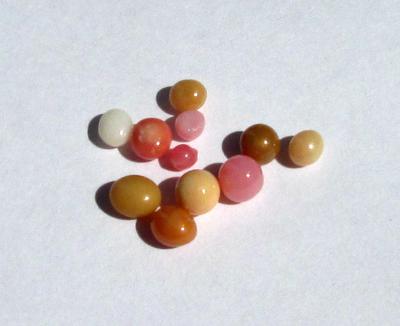 11 Conch Pearls Various Colors 3+ carats - Total