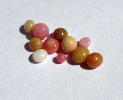 11 Conch Pearls Various Colors 3+ carats - Total