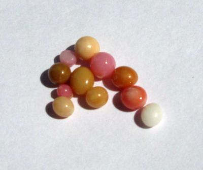 11 Conch Pearls Various Colors 3+ carats - Total