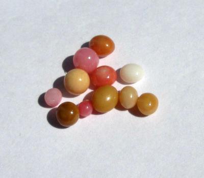 11 Conch Pearls Various Colors 3+ carats - Total