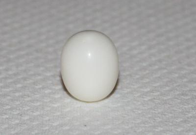 11.8 ct clam pearl with flame