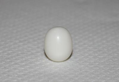 11.8 ct clam pearl with flame