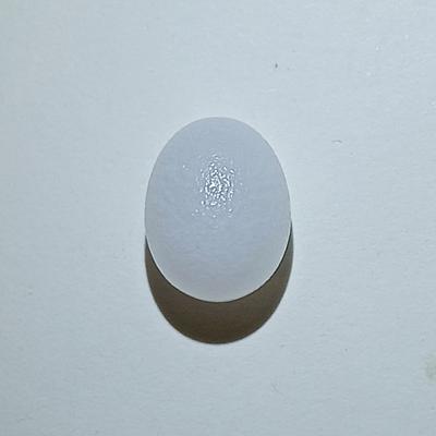 12+ ct Unique Clam Pearl