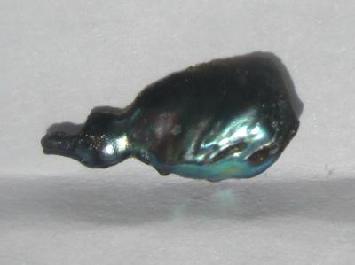 12mm Natural Iridescent Abalone Pearl for Sale