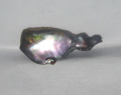 12mm Natural Iridescent Abalone Pearl for Sale