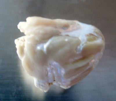13 carat Natural USA Pearl