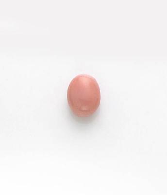 13mm Fine Conch Pearl