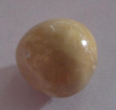 14.1 carat conch pearl