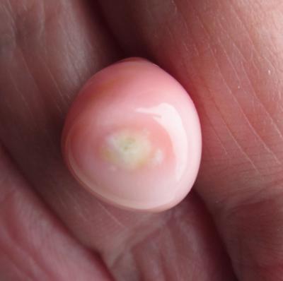 14.20 carat Pastel Pink Conch Pearl