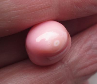 14.20 carat Pastel Pink Conch Pearl