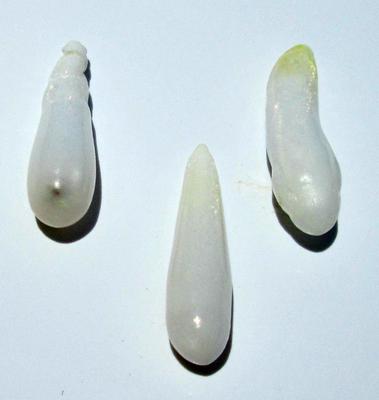 14+ Carats Long Drop Clam Pearl Set of Three for Sale